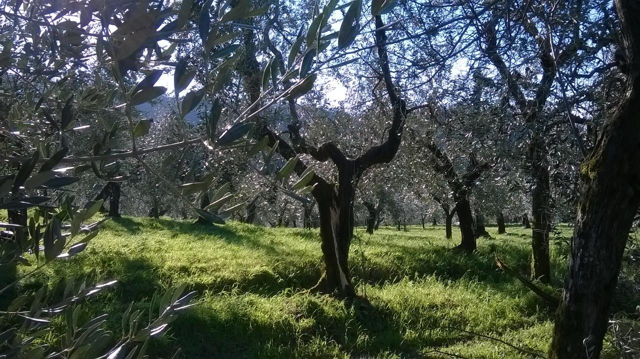 Villa Pacinotti Pistoia Buitenkant foto