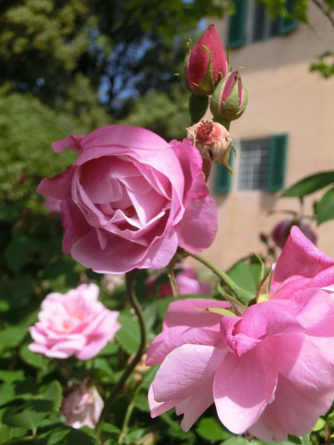 Villa Pacinotti Pistoia Buitenkant foto